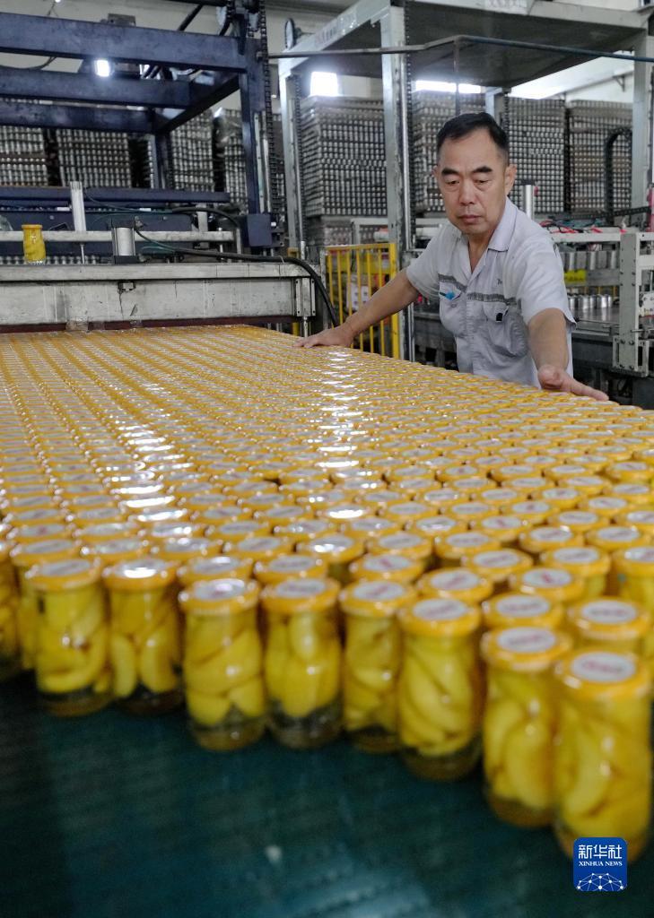 银钻娱乐怎样下载